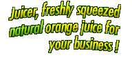 Juicer, freshly squeezed natural orange juice for your business !